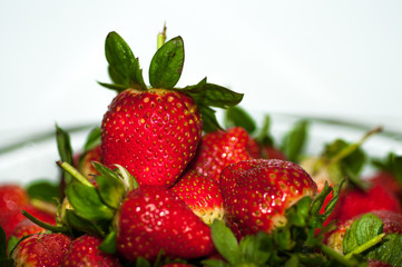 strawberry closeup