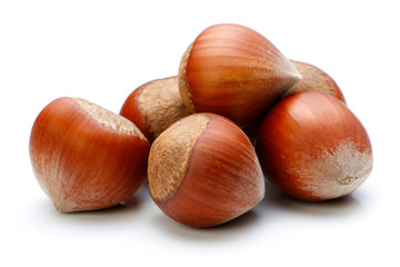Hazelnut isolated