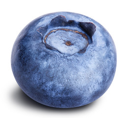 blueberry berry isolated on white background
