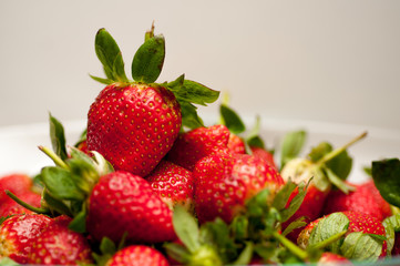 strawberry closeup