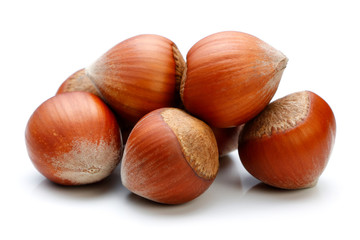 Hazelnut isolated