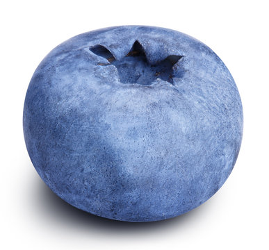 Single Blueberry Images Browse 6 175 Stock Photos Vectors And Video Adobe Stock