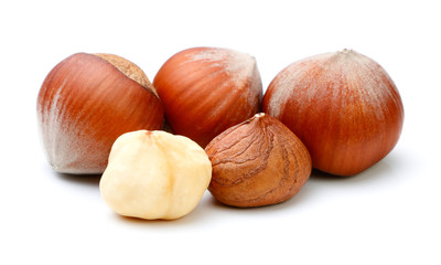 Hazelnut isolated