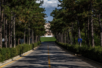 Boulevard of pine trees leading to a church