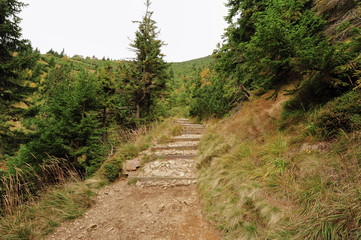 Stone mountain landscape