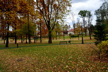 park  © wedrownik52