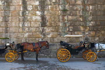 Spanish Carriage