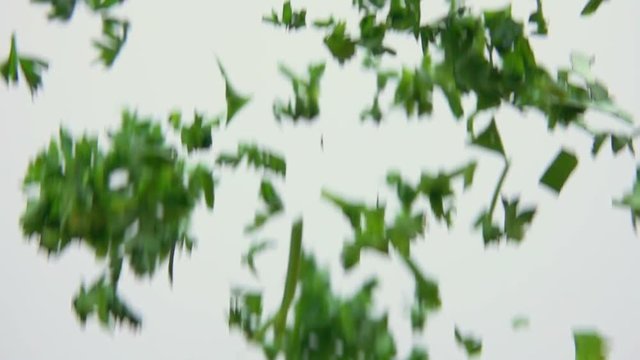 Green parsley is flying on a white background