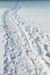 Footsteps on the snow