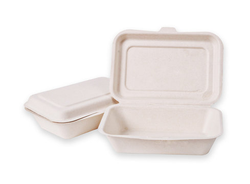 Bagasse box for food isolated.