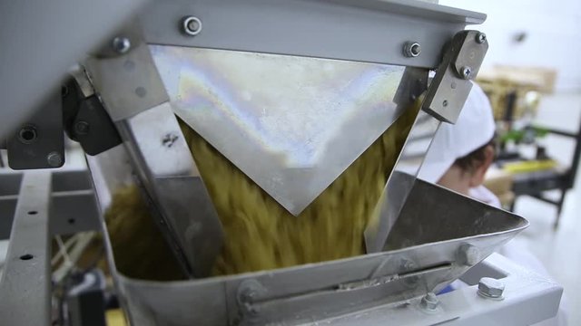filling equipment for pasta