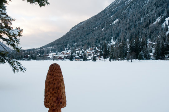 Champex Lac