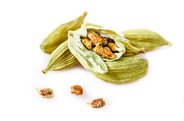 Green Cardamom isolated on white.