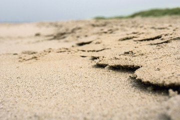 Fototapeta na wymiar sand and dunes at the beach