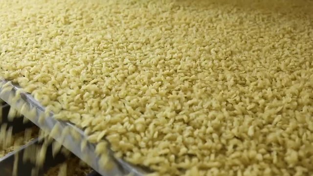 automatic pasta production