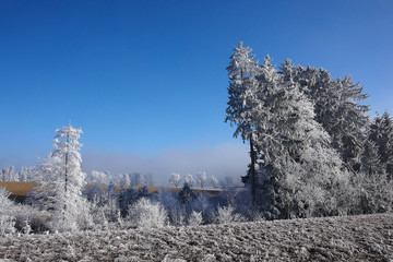Winterzauber