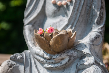 Buddha`s hands with roses