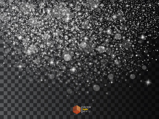 Realistic falling snowflakes. Isolated on transparent background. Vector illustration, eps 10.
