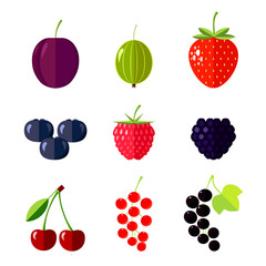 Berries. Flat vector illustration