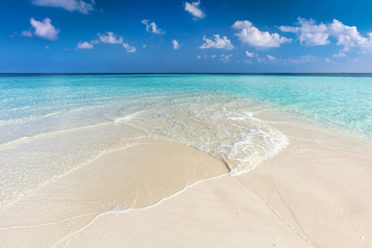 Fototapeta Tropical beach with white sand and clear turquoise ocean. Maldives