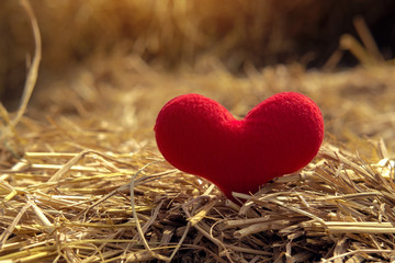 love of Red heart on straw outdoor