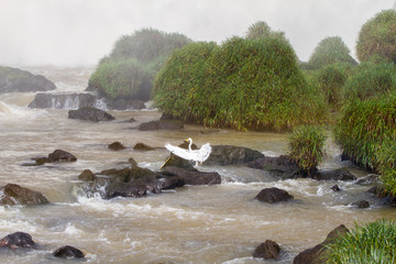 View of the Iguazu (Iguacu) falls, the largest series of waterfalls on the planet, located between Brazil, Argentina, and Paraguay. 