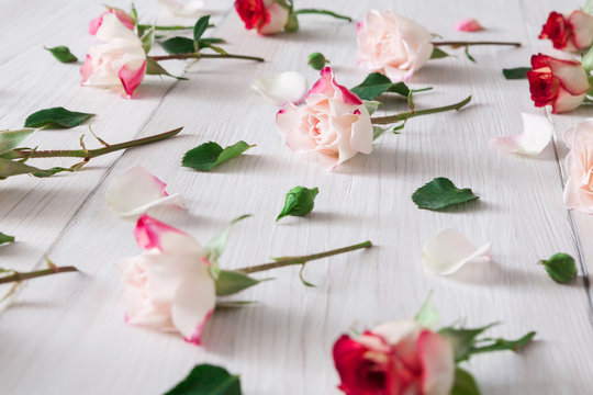 Valentine day background, rose flowers on white wood
