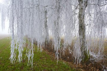 Winterzauber