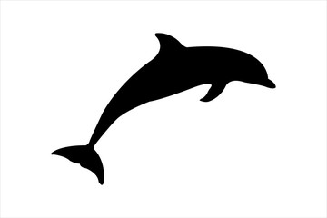 dolphin on white background © Thanapong