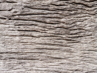 old wood background