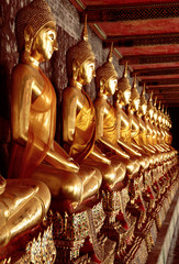 Row of golden Buddha statues in Wat Pho, Bangkok