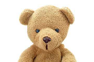 Obraz premium Portrait brown teddy bear doll looking to camera.