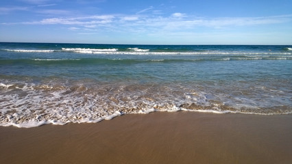 Fototapeta na wymiar Illawarra Coastal Walk / Pacific - ocean beach - Australia