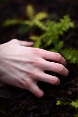hand in nature