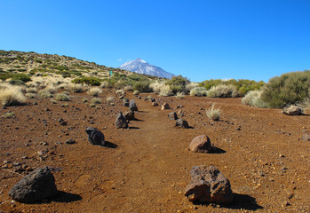 Volc&aacute;n del Teide nevado