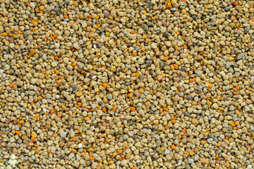 Pile of bee pollen, ambrosia