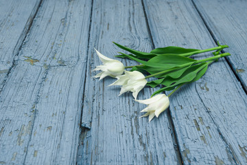 White tulips on wooden background, Easter, the Mother's Day