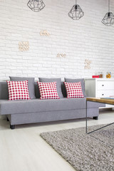 Sofa with red pillows