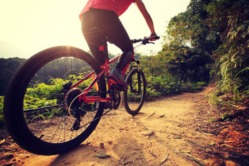 young woman riding mountain bike on forest trail - Powered by Adobe