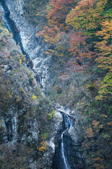 Small waterfall and autumn tree forest at high mountain