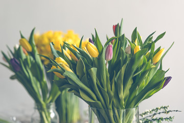 Multicolored tulips flowers bouquet in a glass vase