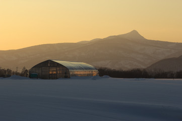 北海道冬景色　雪原の中のビニールハウス
