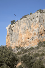 Canyon Landscape; Nuevalos, Aragon