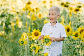 Adorable toddler blond boy in a shirt on sunflower field laughing and having fun outdoors. Life style, summer time, real emotions
