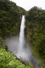 Fototapeta na wymiar ハワイ島最大の滝　アカカ・フォールズ