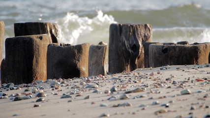 OLYMPUS DIGITAL CAMERA © martagro