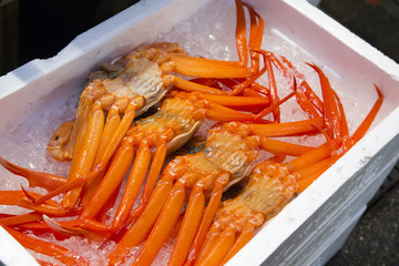 近江町市場のずわいがに