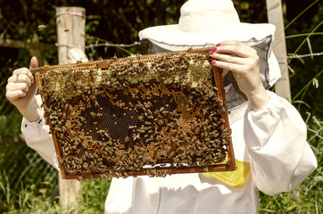 Beekeeper with bees