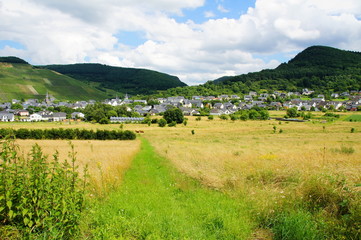 Weinort Veldenz in einem Seitental der Mosel im Sommer
