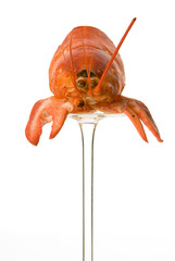 Lobster on a reversed glass